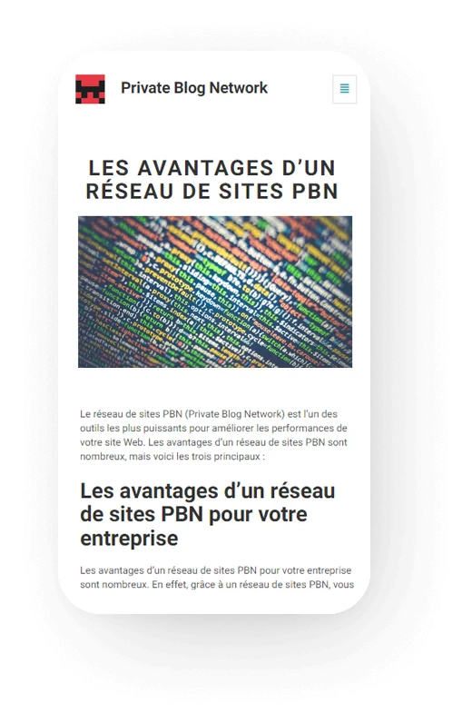 exemple de site PBN
